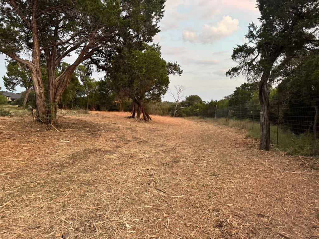 Cleared wooded area with wood chips covering the ground, trees along both sides, and a fence